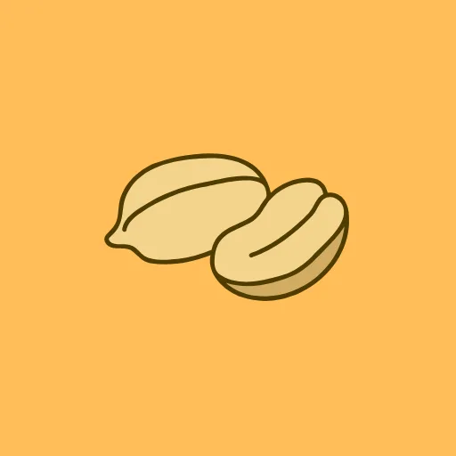 Recipe Nuts app logo